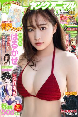 哈利波特与死亡圣器下百度影音